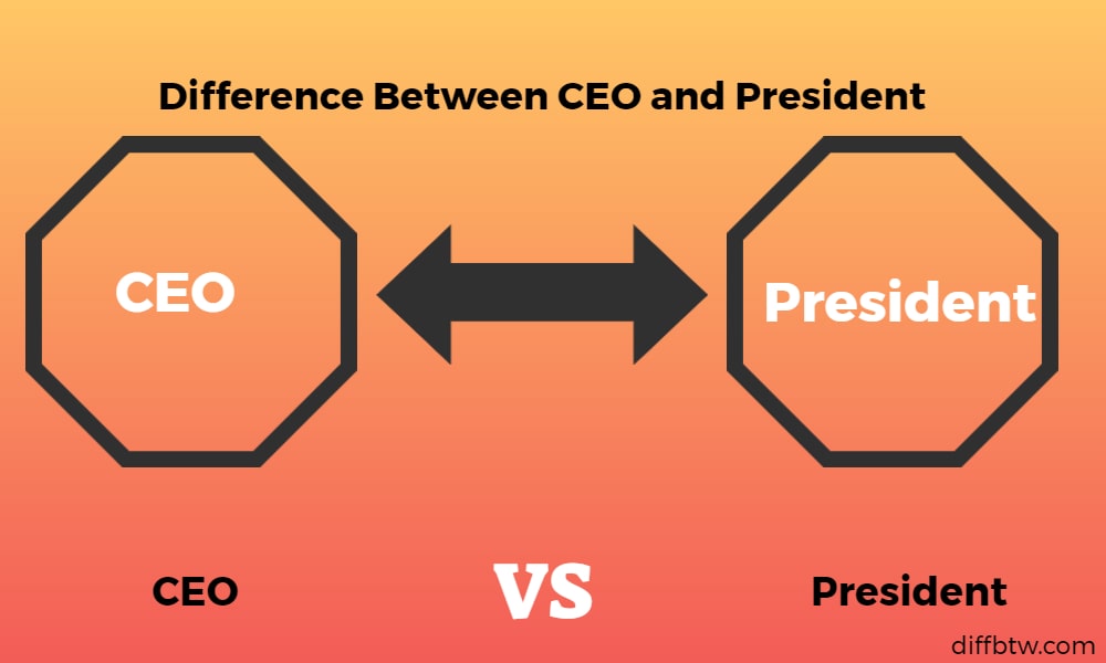 Executive Vice President Vs Vice President