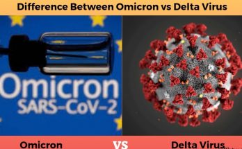 Omicron vs. Delta Virus