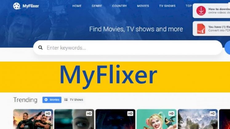 Myflixer