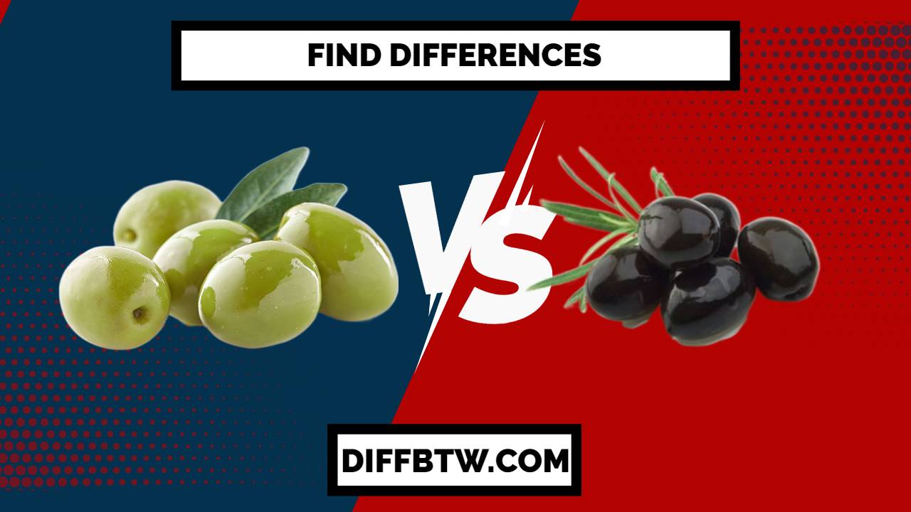 Green Olives vs. Black Olives What’s the Difference? Difference Between